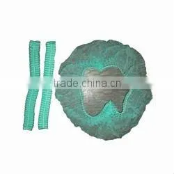 Disposable Green PP 14g/m2 Non Woven Mob Caps 18" 19" 20" 21" 24" Double Elastic Latex Free thumbnail-1