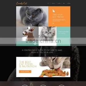 Website Design thumbnail-4