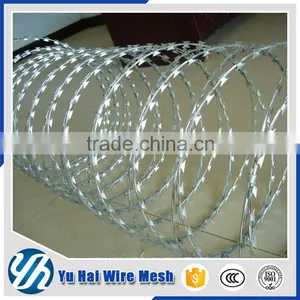Motto New Razor Barbed Wire Mesh thumbnail-4