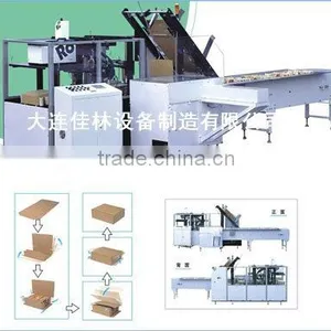 Case Packing Machine for Other Scooter thumbnail-1