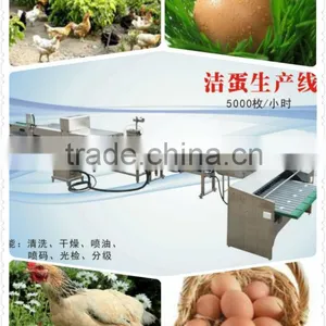 China Best Stainless Cleaning Grading Machine for Egg Farmers thumbnail-1