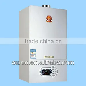 24KW CE Gas Fired Boiler for Iron Market/boiler thumbnail-1