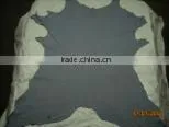 Wet Blue Calf Leather thumbnail-1