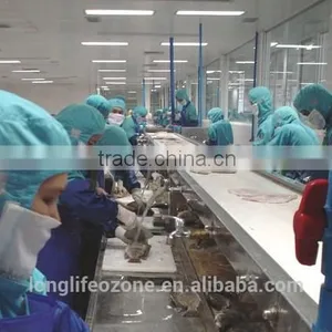 High Quality Ozone Venturi Injector With Good Price thumbnail-6