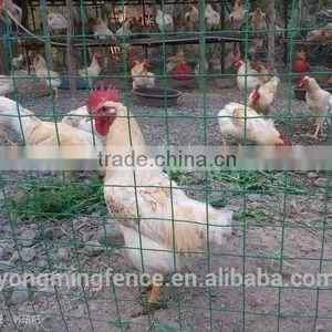 Galvanized and Powder Coating Welded Euro Fence for Sale thumbnail-2