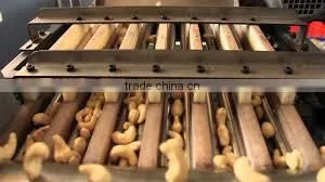 High Quality Vietnam Cashew Kernels Grade WW320, WW450, WS thumbnail-4