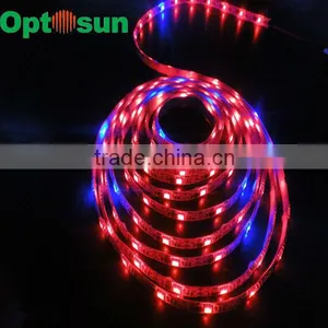 DC5V RGB Dream Color Led Strip thumbnail-1