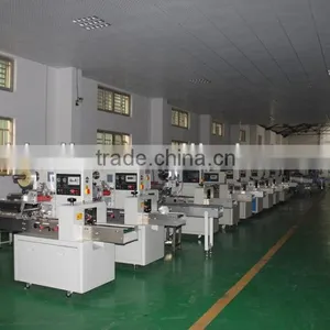 Shanghai Good Quality Cracker Packing Machine thumbnail-1