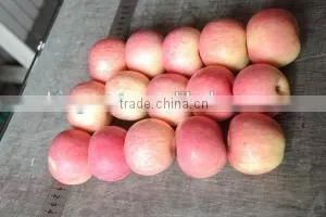 2015 Chinese Fresh Sweet Fuji Apple With Good Quality thumbnail-5