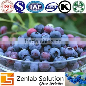 European Bilberry P.e, GMP Bilberry P.e, Europe Bilberry P.e thumbnail-3