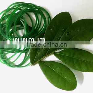 Green Rubber Band High Quality / Durable Hottest Products From 100% Natural Rubber Band thumbnail-1