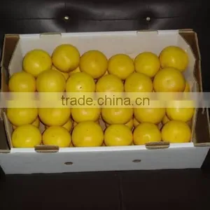 Fresh Grape Fruit thumbnail-2