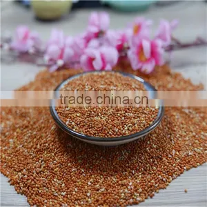 Well Chosen Yellow Millet in Husk thumbnail-4