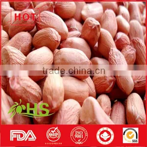 Round/long Size Red Skin Peanut Kernel thumbnail-6