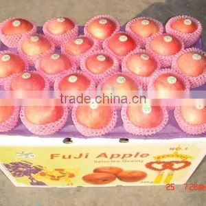 Fuji Apple thumbnail-1