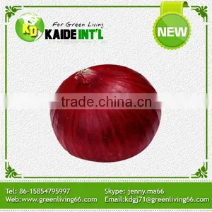 World Best Selling Products Grade A Fresh Onions thumbnail-3