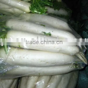 Fresh Turnip thumbnail-1