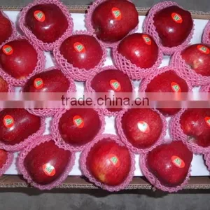 HUANIU APPLE thumbnail-2