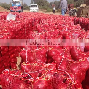 LOWEST PRICE / GOOD PRICE RED ONIONS FROM EGYPTIAN FARMER DIRECT thumbnail-1