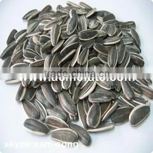 Wholesale Delicious Sunflower Seeds thumbnail-2