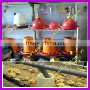 Automatic Poultry Bellshape Drinkers 0086-15238020698 thumbnail-1