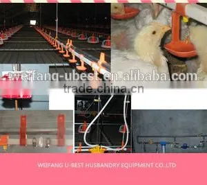 Hot Sale Agricultural Automatic Sheed Poultry Equipment thumbnail-3