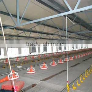 Poultry Automatic Feeding System thumbnail-3