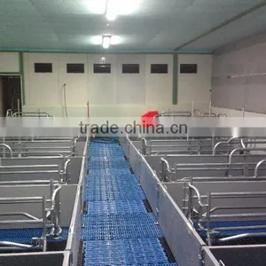 Pig Farrowing Crate/pig Equipment/poultry Farm Equipment thumbnail-3