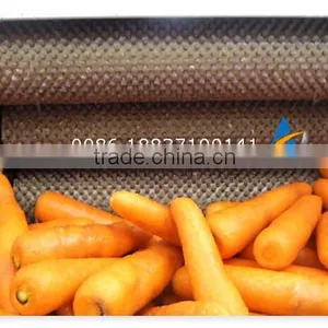 Industrial Vegetable Potato Carrot Taro Cassava Ginger Yam Root Washing and Peeling Washer Peeler Machine thumbnail-6