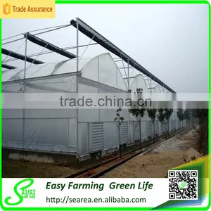 Galvanized Steel Structure Glass Cover Used Commercial Greenhouses thumbnail-2