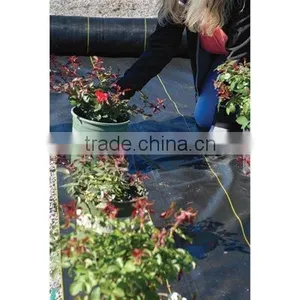 High Quality Used Plastic Mulch Layer Weed Barrier Fabric thumbnail-3