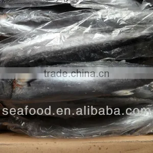 Frozen Spanish Mackerel,New Arrivals thumbnail-1