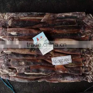 Illex Argentinus Squid Frozen Seafood thumbnail-1