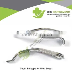 Tooth Forceps for Wolf Teeth thumbnail-1