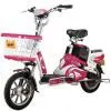 Electric Bicycle thumbnail-1