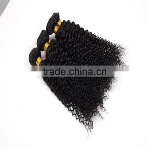 Free Sample Hair Bundles,2016 Hottest Virgin Mongolian Kinky Curly Hair thumbnail-6