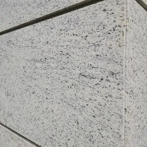 Brazil Granite Tiles Natural White Granite Slabs Cladding Exterior Stone Wall Facade Tiles Facades Panels Wall Tiles thumbnail-2