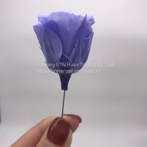 Preserved Flower Rose for Decor Supplies thumbnail-1