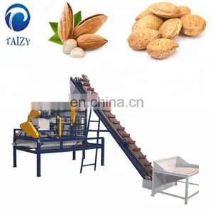 Taizy Cashew Nut Grading Machine/peanut Kernel Sortingmachine thumbnail-5