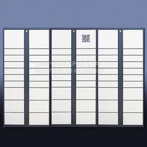 Standard Size Smart Delivery Locker and Export Smart Parcel Metal Locker Luoyang Factory Locker thumbnail-3