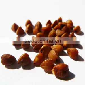 Organic Roasted Buckwheat Kernel thumbnail-1