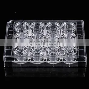 Lab Consumables 12 Inserts/6 Well Cell Culture Flask Cell Inserts thumbnail-3