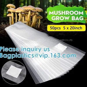 Mushroom Grow Bag For Spawn/Mushroom, GROW BAGS, NURSERY PLANTER, SEED HYDROPONICS, Grow Bags, Garden Patio Plant Flower thumbnail-1