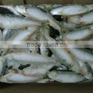 Sardinella Lemuru From Chinese Manufacture thumbnail-4
