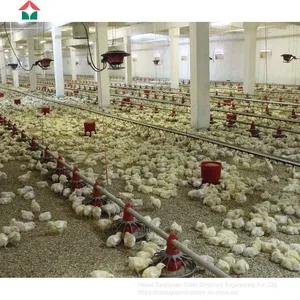 Chicken Broiler Houses thumbnail-5