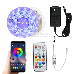 Hot Selling Fancy Colorful Dream Decorative Wall Lights Indoor WS2811 Pixels 12V Strip Light RGB Led Strip Light Kit thumbnail-2