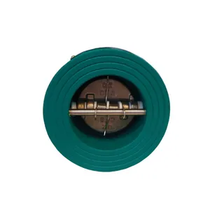 Check Valve thumbnail-1