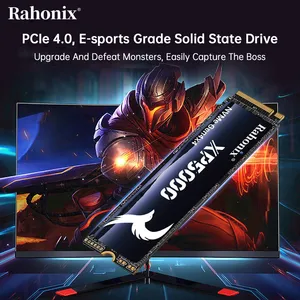 Серия XP5000 M.2 NVMe 2280 PCIe4.0x4 SSD, скорость чтения до 5000 МБ/с thumbnail-3