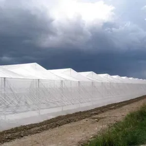 HDPE Anti-Thrip Insect Net Custom Cutting Processing Service thumbnail-5