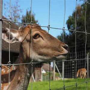 Hot-Dip Galvanized Knitted Wire Mesh Farm Fencing Smooth Surface Cattle Deer Hog Mesh for Livestock Factory Welding Bending thumbnail-2